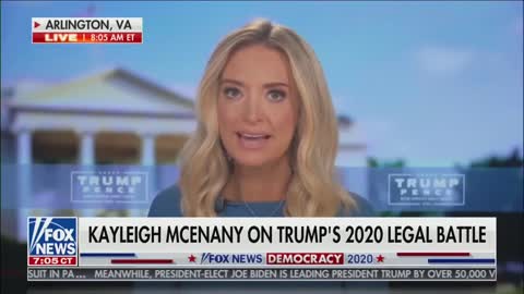 Kayleigh McEnany on affidavits being filed today in key states