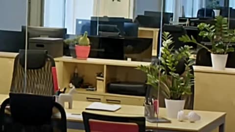 🌿 Impact Of Windows And Plants On Office Job Satisfaction 🪟✨