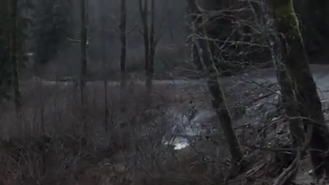 First Blood (Rambo Part I)