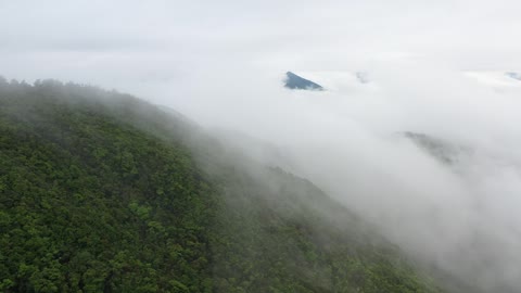 Nature Video|Mountain, Sky, Fog, Hills, Aerial, Forest, Gloomy