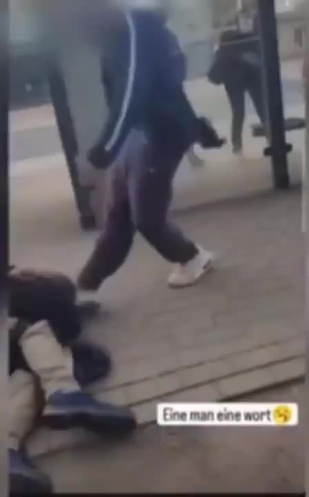 The latest attack on the native public by Arab "refugees", this time in Germany, a