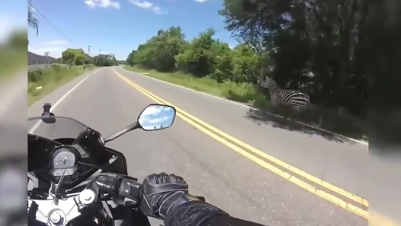 This happens when you mix humans and nature