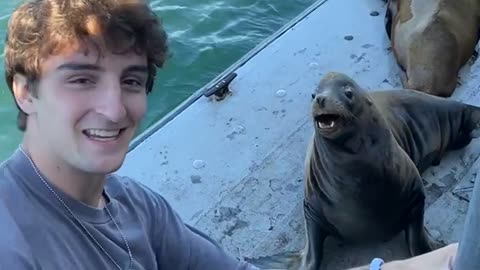 Lining Up a Photo Op with Sea Lion