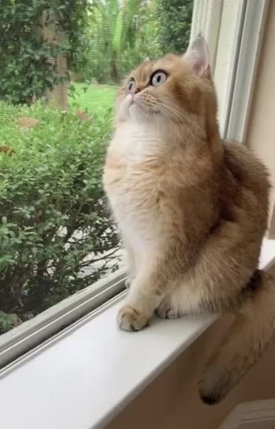 This program is not responding