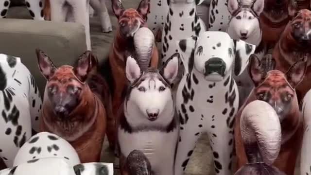 Can you find the real dog?