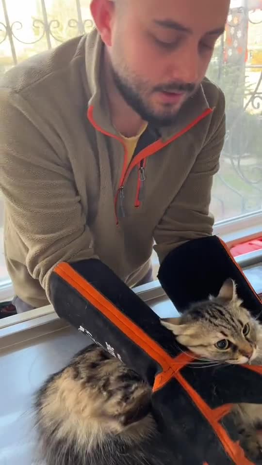 funny|prank|jokes|funny jokes|dad jokes|funny memes|funny video|fun|laughing|funny animal|knock