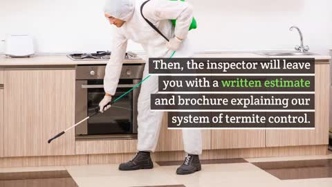 Termite Control Services