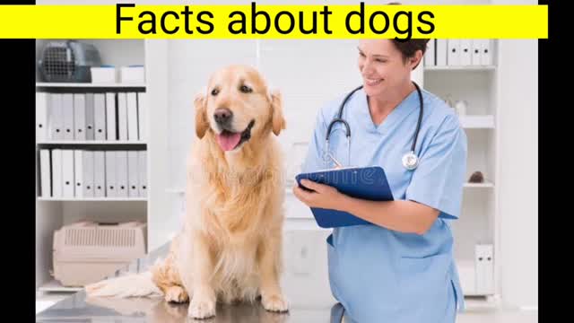 Facts about dogs