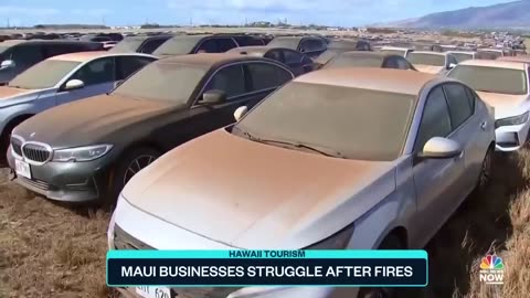 Maui Fires News - Maui businesses struggling after fires.