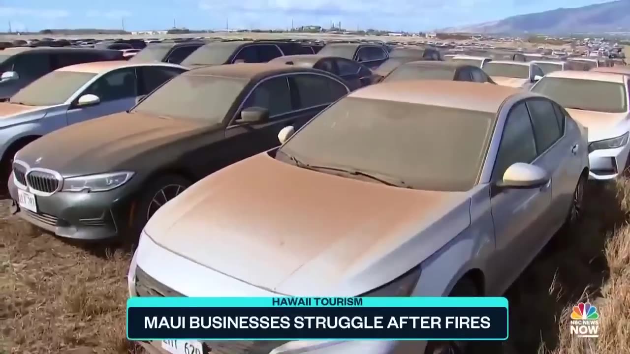 Maui Fires News - Maui businesses struggling after fires.
