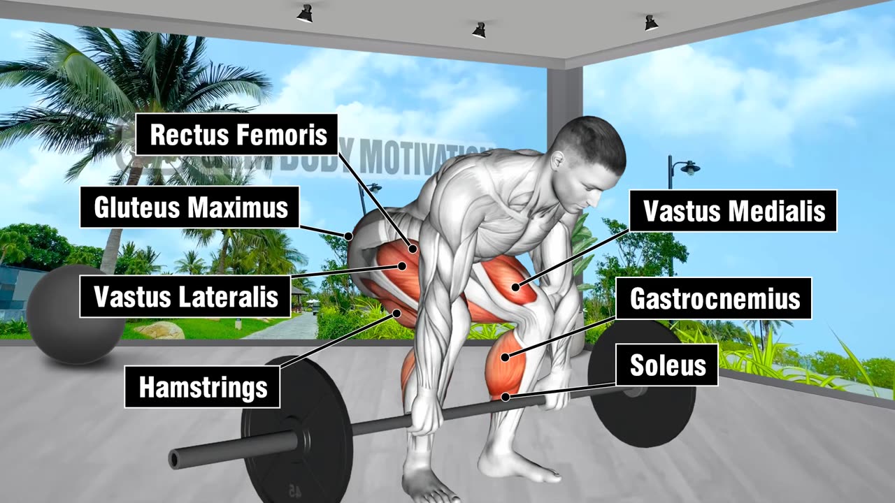 The most effective leg day routine for maximizing muscle growth, grounded in scientific principles