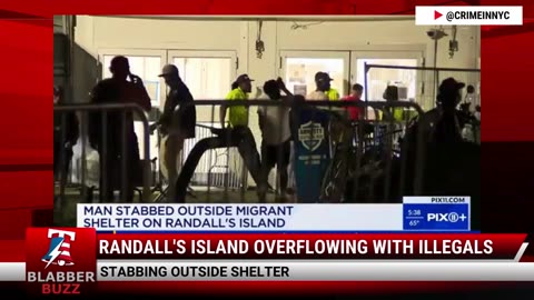 Randall's Island Overflowing With Illegals