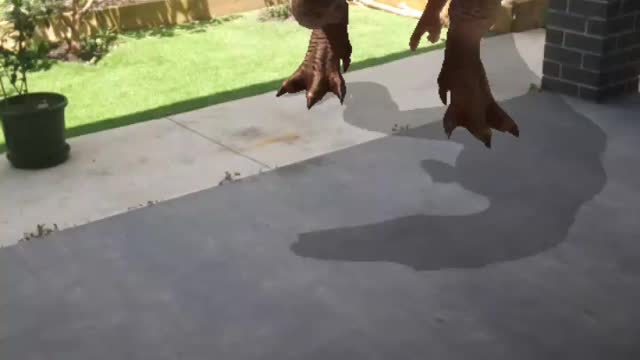 Dino outside