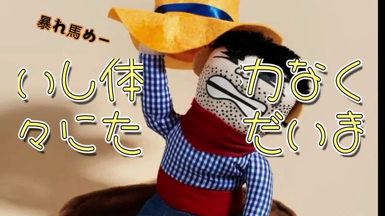 変な服で久しぶりの散歩に連れていかれる犬