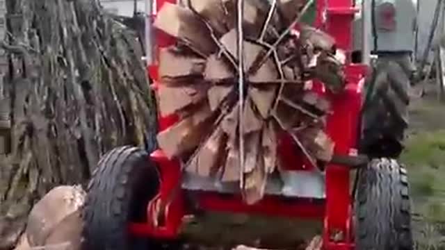 Here's how to cut down a tree safely