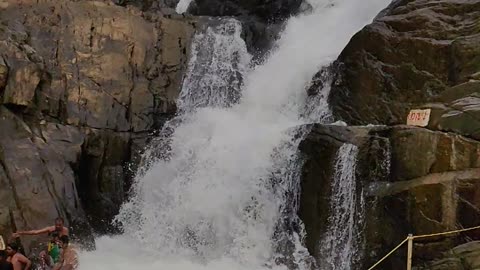 Wayanad Kerala falls india