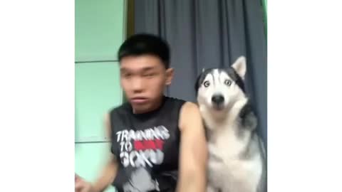 These animals are full of enthusiasm, keep you entertained