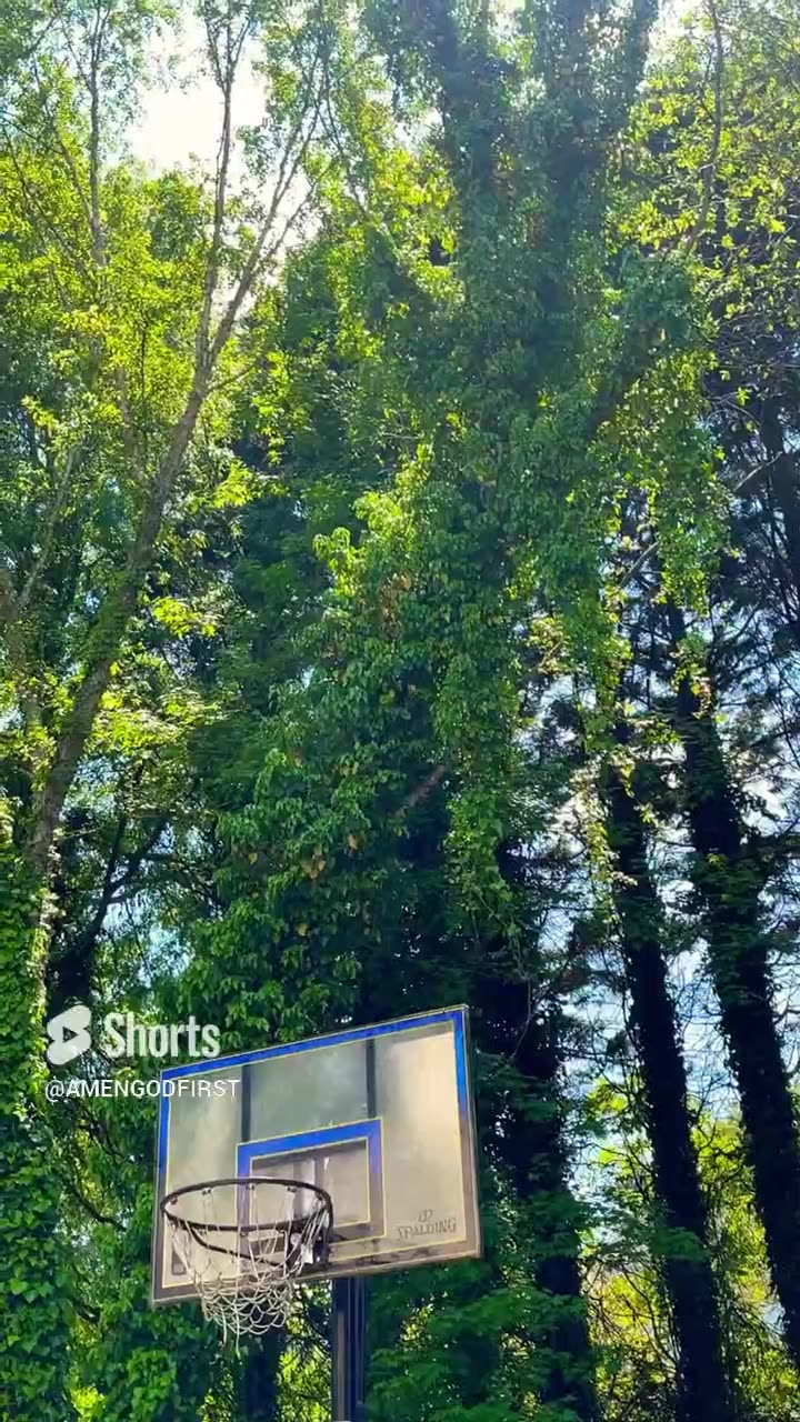 birds chirping nature sounds