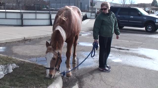 20120223: Saying Goodbye to Pancho