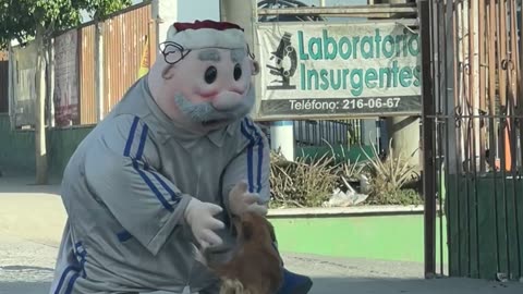 Dr. Simi Mascot Plays With Stray Dog