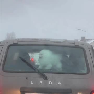 Gotta keep the kids entertained somehow 🤣