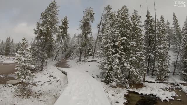 Virtual Hike at Norris Geyser Basin, Yellowstone, Winter Snow