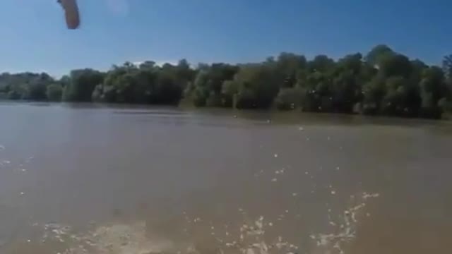 Jumping crocodiles of the Adelaide River.