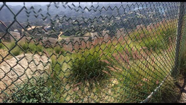 HIKE TO THE HOLLYWOOD SIGN
