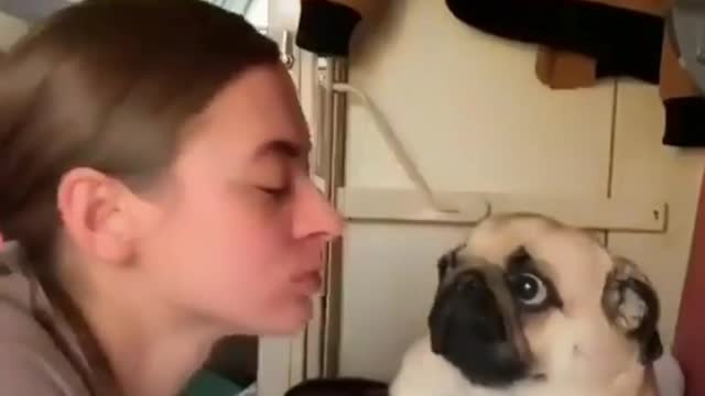 Dog Want No Kiss