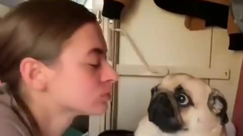 Dog Want No Kiss