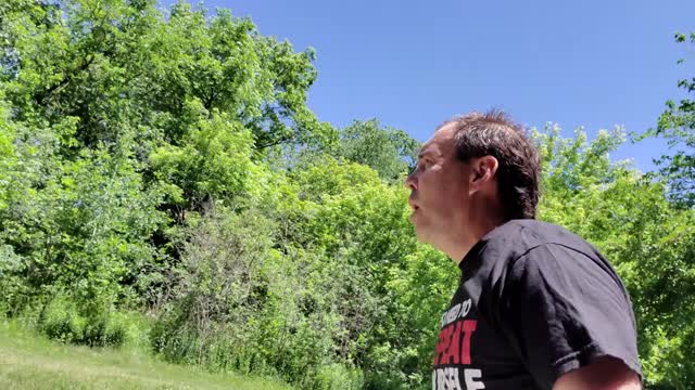 NUEVAMENTE CEDARVALE PARK (Junio 19, 2022)