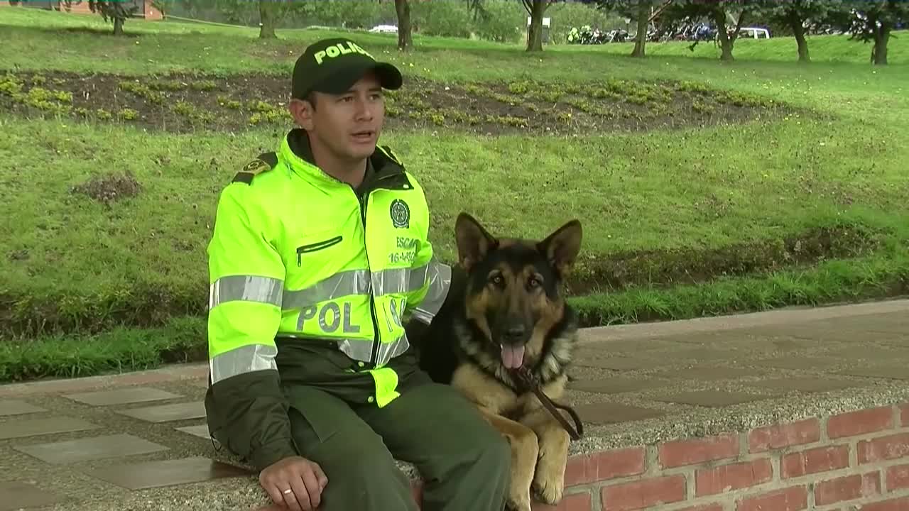 Entrenamiento de Perros Policías