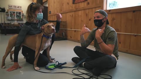 Scared Pitbull's Life Changed after Dog Training!