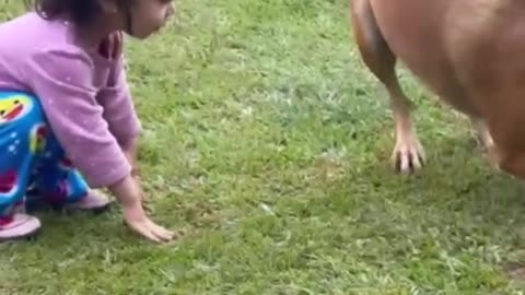 Little girl gets wiped out by high energy dog