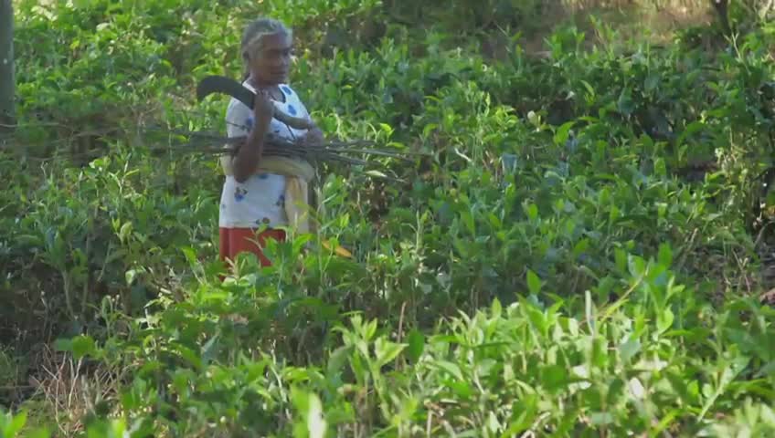 Realizarán el Foro Invierta en la Mujer Rural