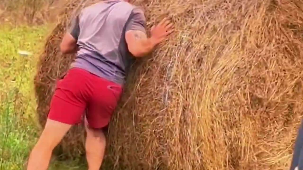 Hay bale rolling #lamborghini #urus #haybale #homelessinalamborghini