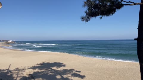 Wave of the winter beach