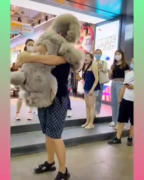 Cute and Funny Dog Videos Compilation,_dog2__dog2_ _- short