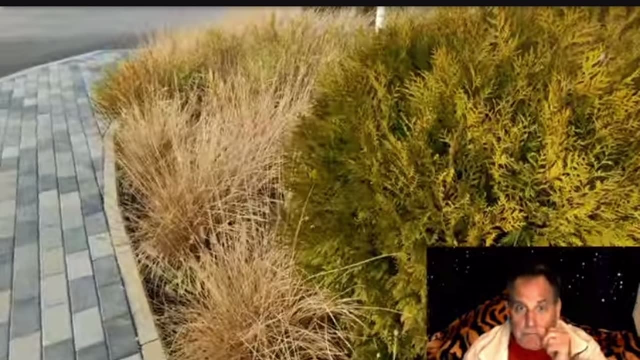 Benjamin Fulford insider update for 12/25