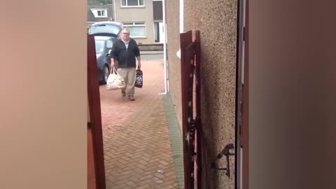 Funny and smart dog