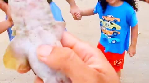 ❤️🦈Saved Shark Life ❤️🦈 #shorts #shortsfeed #short #viral #viralshorts