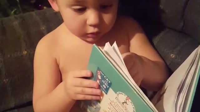 Are you my Mother? Read by 2 yr old