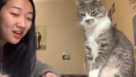 Girl's cat smacks her in the face when she tried to talk to him.