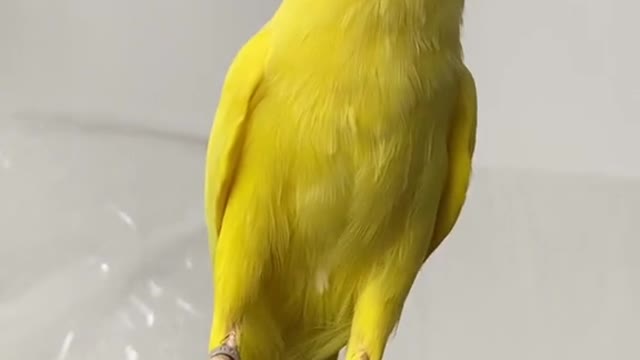 She is really a good girl