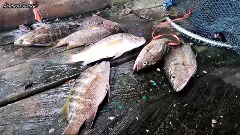 Fishing for Live Cooking Results | Peaceful Peace This is the Place, Cooking Mukbang