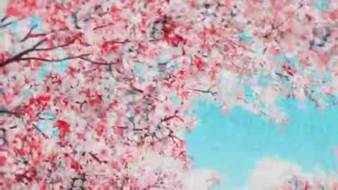 2 Very beautiful and soulful Japanese music! Sakura blossoms