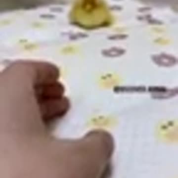 AWW Animals SOO Cute! Cute baby animals Videos Compilation Funniest and Cutest moment