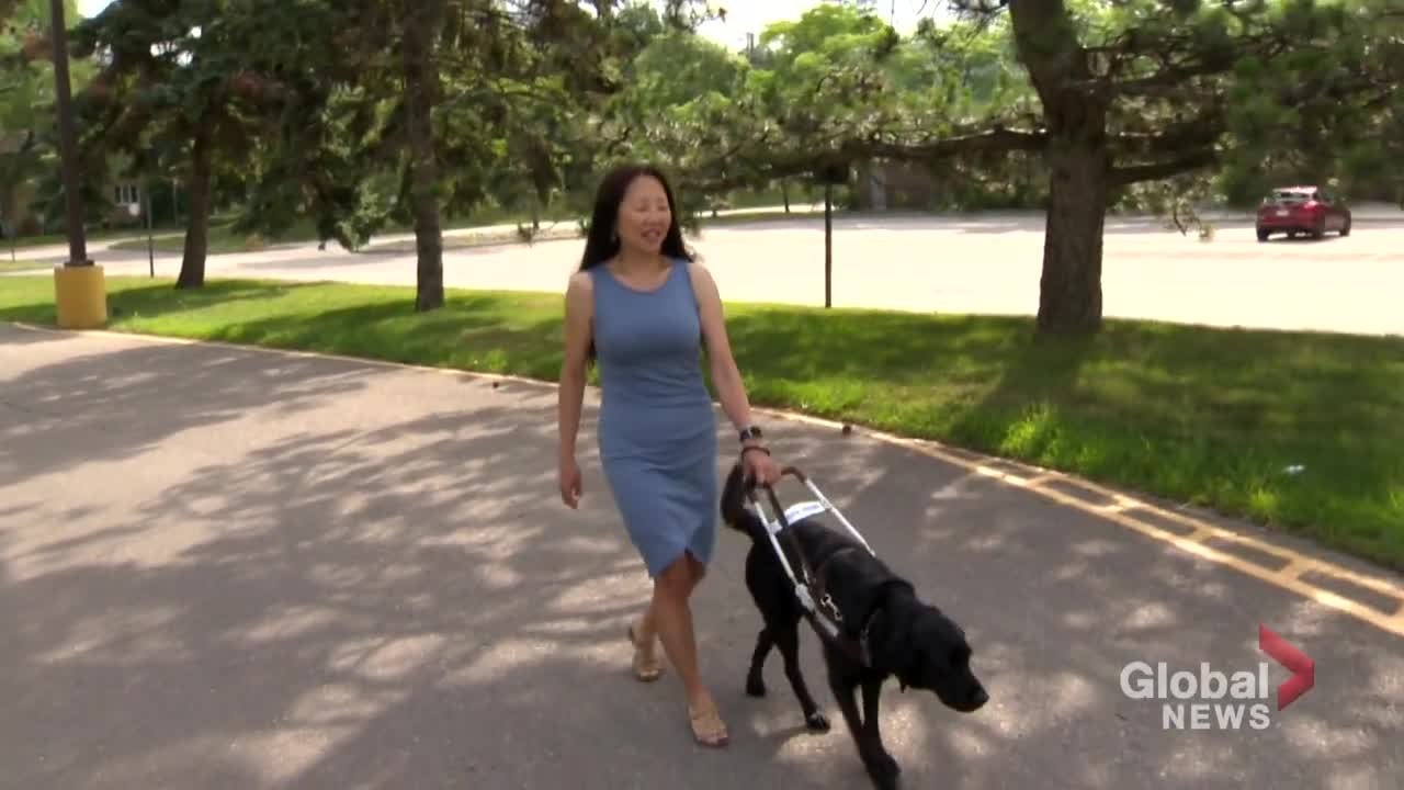 “Be My Eyes” app brings sight to blind people with help from the volunteers