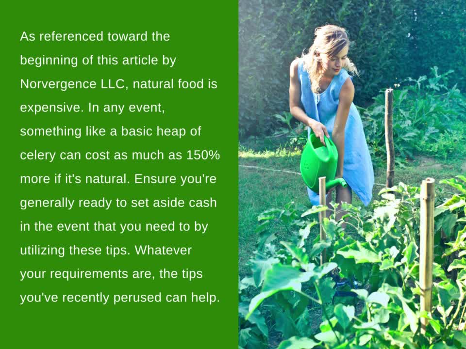 Team Norvergence - Advice for Growing an Organic Garden