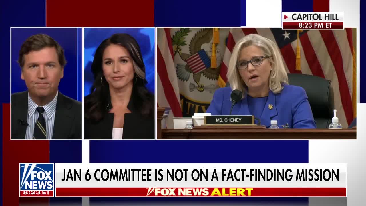 Tulsi Gabbard slams the Jan 6 hearings: It's 'political interest'